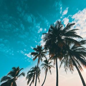 Meet your Posher, Jeffery